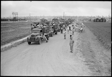 Closing of the Jerome Relocation Center, Denson, Arkansas. One of the 500 Jerome residents, waiting . . . - NARA - 539760