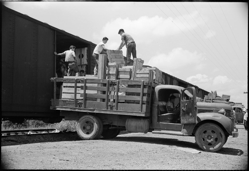 Closing of the Jerome Relocation Center, Denson, Arkansas. Loading freight cars with evacuee proper . . . - NARA - 539769