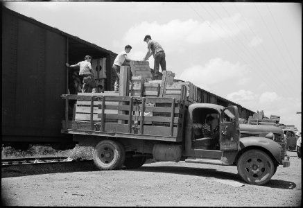 Closing of the Jerome Relocation Center, Denson, Arkansas. Loading freight cars with evacuee proper . . . - NARA - 539769