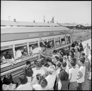 Closing of the Jerome Relocation Center, Denson, Arkansas. In the movement of evacuee from Jerome t . . . - NARA - 539742