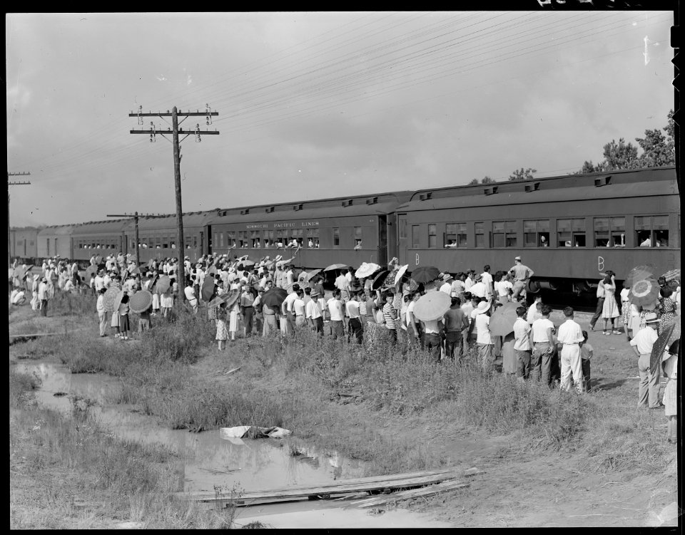 Closing of the Jerome Relocation Center, Denson, Arkansas. Scene as one train load of 500 Jerome re . . . - NARA - 539642