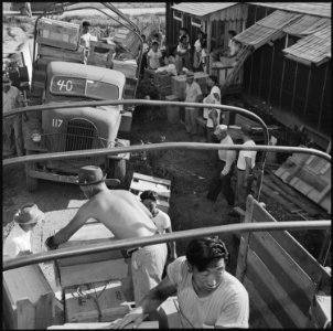 Closing of the Jerome Relocation Center, Denson, Arkansas. Truck loading scene in one of the block . . . - NARA - 539802