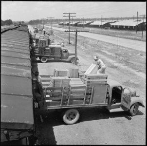 Closing of the Jerome Relocation Center, Denson, Arkansas. Loading freight cars with the personal p . . . - NARA - 539766