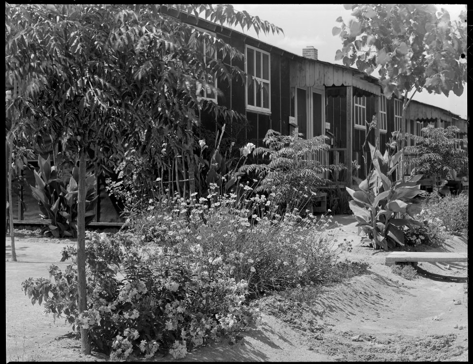 Closing of the Jerome Relocation Center, Denson, Arkansas. The all male residents of block Number 1 . . . - NARA - 539648