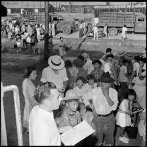 Closing of the Jerome Relocation Center, Denson, Arkansas. View from the train platform during load . . . - NARA - 539771
