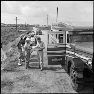 Closing of the Jerome Relocation Center, Denson, Arkansas. Two War Relocation Authority transportat . . . - NARA - 539812