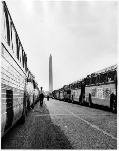 Civil Rights March on Washington, D.C. (Two long lines of some of the buses used to transport marchers to Washington.) - NARA - 542066