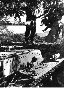 Ciężkie działo przeciwpancerne Marder III na stanowisku na wybrzeżu Morza Tyrreńskiego (2-2285)