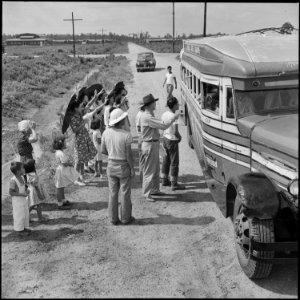 Closing of the Jerome Relocation Center, Denson, Arkansas. Transportation officials finish checking . . . - NARA - 539751