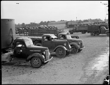Closing of the Jerome Relocation Center, Denson, Arkansas. View in the Jerome motor pool showing tr . . . - NARA - 539699