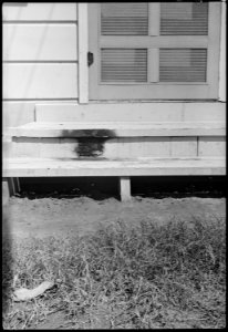 Colorado River Relocation Center, Poston, Arizona. Slight damage done by fire believed (to be) ince . . . - NARA - 537283