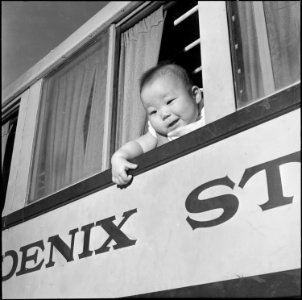 Colorado River Relocation Center, Poston, Arizona. After the final plans have been made, boxes pack . . . - NARA - 539897