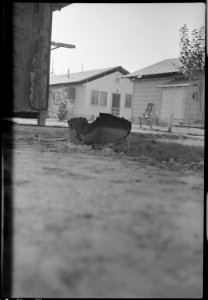Colorado River Relocation Center, Poston, Arizona. Remains of box of trash which was pulled away fr . . . - NARA - 537289