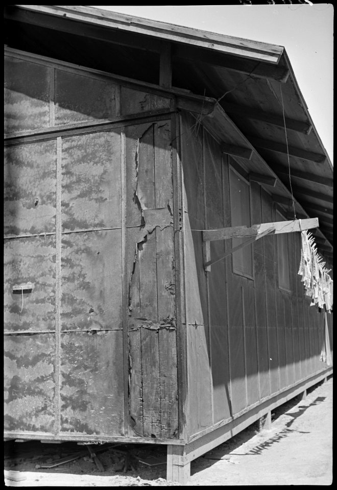Colorado River Relocation Center, Poston, Arizona. Damage done to Barracks G, Block 34, occupied by . . . - NARA - 537286