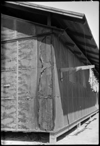 Colorado River Relocation Center, Poston, Arizona. Damage done to Barracks G, Block 34, occupied by . . . - NARA - 537286