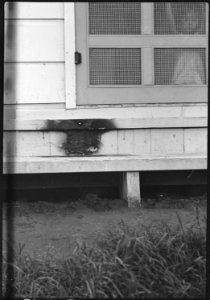 Colorado River Relocation Center, Poston, Arizona. Slight damage done by fire believed (to be) ince . . . - NARA - 537287