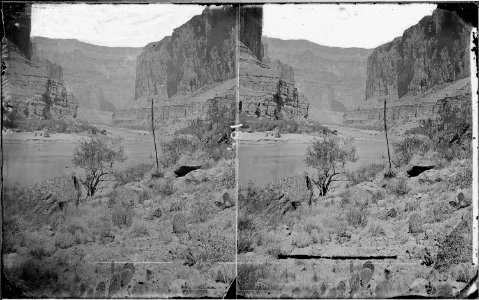 Colorado River. Marble Canyon with many varieties of cacti growing on right bank of river. Old nos. - NARA - 518004