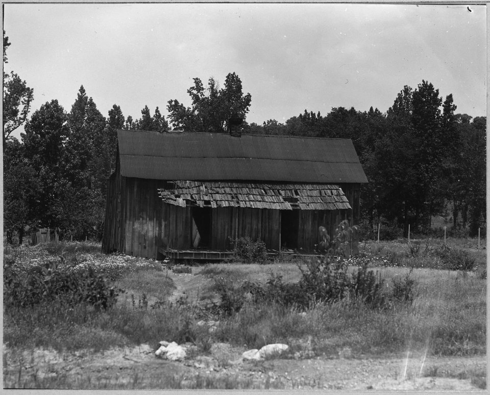 Coosa Valley, Alabama. Abandoned farm shacks on government reservations. - NARA - 522618