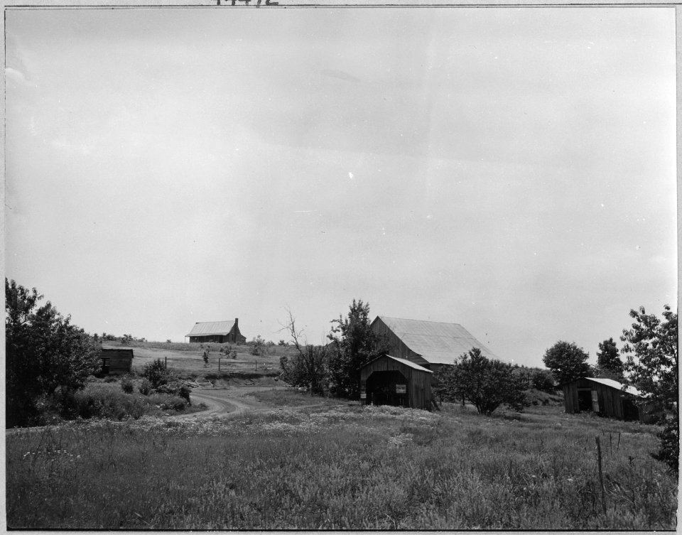 Coosa Valley, Alabama. Abandoned farm shacks on government reservations. - NARA - 522622