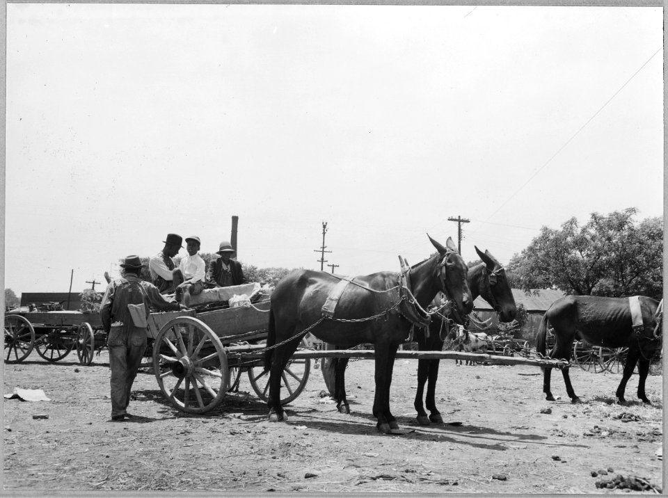 Coosa Valley, Alabama. Farmers' hitching ground - Saturday at Talladega. - NARA - 522577