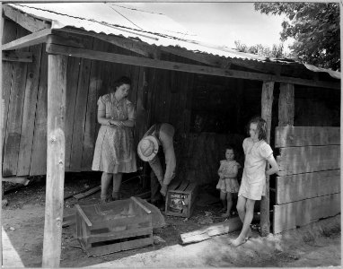 Coosa Valley, Alabama. Local family moving off of government reservation to make room for bag loadin . . . - NARA - 522557