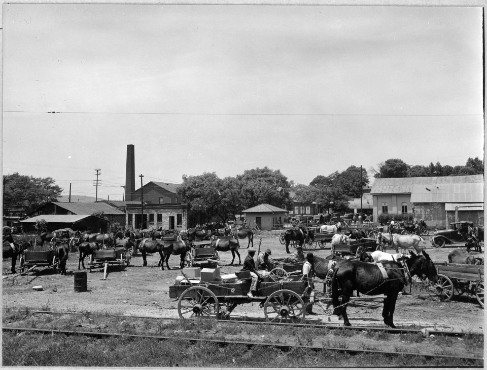 Coosa Valley, Alabama. Farmers' hitching ground - Saturday at Talladega. - NARA - 522576