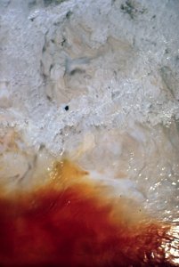 Contaminated Water In Drainage Ditch Behind Pittsburg Glass Co - NARA - 546110