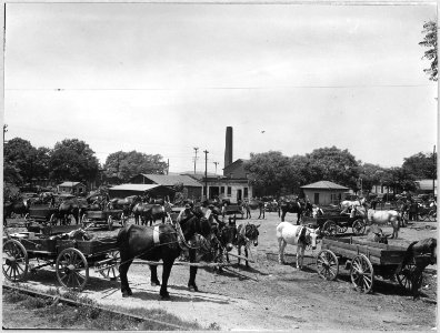 Coosa Valley, Alabama. Loading up cooking, bath and drinking water for the farm from the town pump. - NARA - 522575