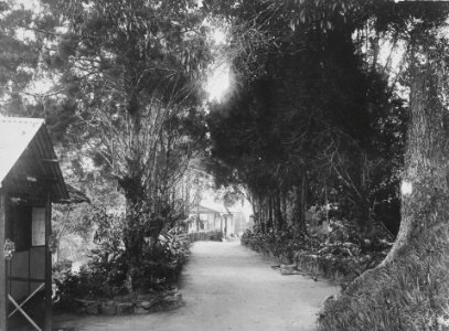 Collectie NM van Wereldculturen TM-60036786 Het Crag Hotel op het eiland Penang Fotograaf A. (August) Kaulfuss (1861 - 1909)