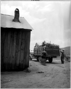 Coosa Valley, Alabama. Local family moving off of government reservation to make room for bag loadin . . . - NARA - 522558