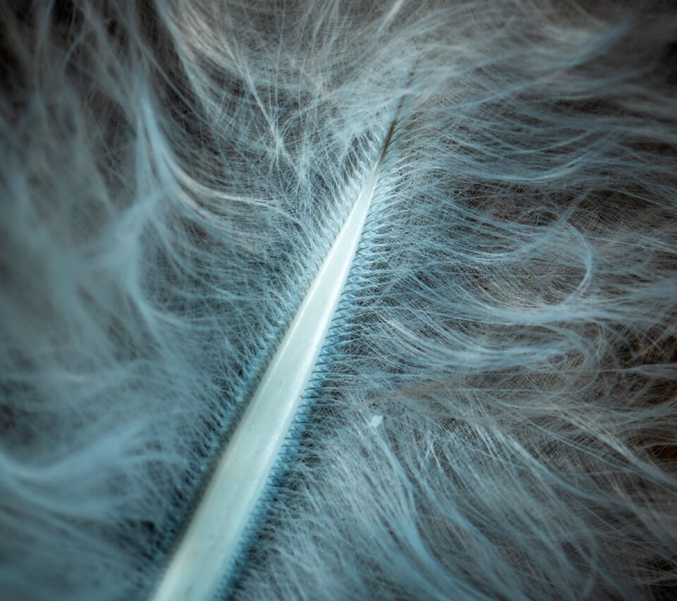 Krupnyj plan abstract macro