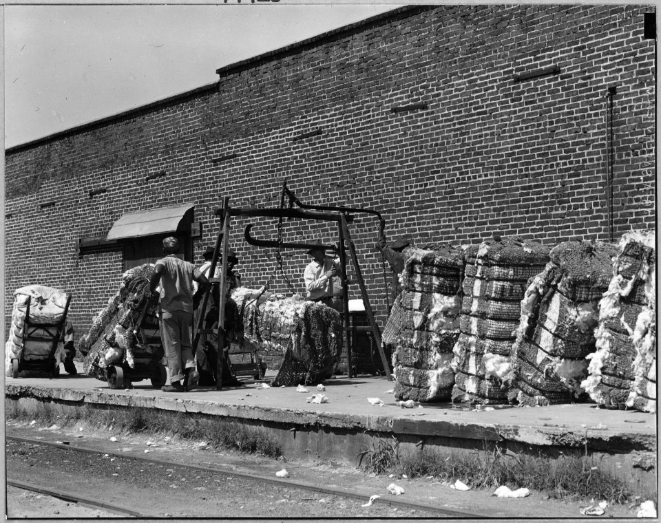 Coosa Valley, Alabama. Warehousing cotton (Talladega) - NARA - 522570