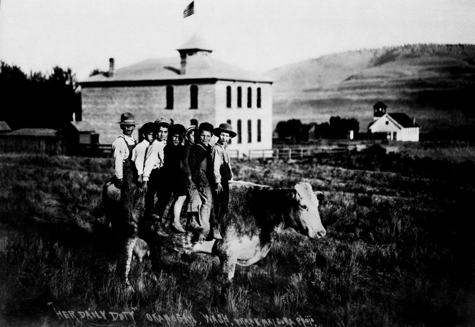 Cow with seven small boys on her back poses in front of schoolhouse in Okanogan, Wash. By Frank Matsur - NARA - 532039 restored
