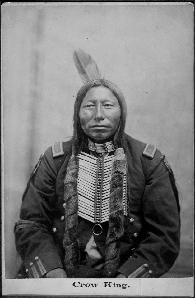 Crow King. With Gaul, a fighting chief of the Sioux in the Custer fight (From L. D. Greene Album). - NARA - 533093