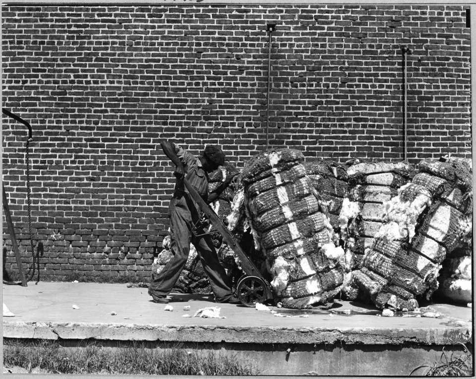 Coosa Valley, Alabama. Warehousing cotton (Talladega) - NARA - 522569