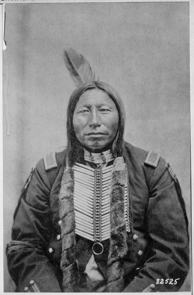 Crow King, a Hunkpapa Sioux, half-length, wearing part of a major's uniform, 1881 - NARA - 530814