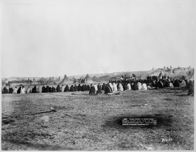 Council of Sioux chiefs and leaders that settled the Indian wars, Pine Ridge, South Dakota, 1891 - NARA - 530889