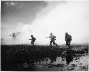 Crack troops of the Vietnamese Army in combat operations against the Communist Viet Cong guerrillas. Marshy terrain of t - NARA - 541973