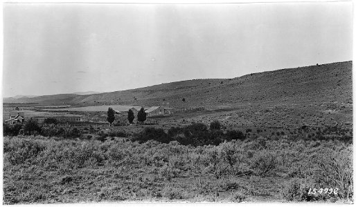 Congleton Ranch near Paulina Oregon, Ochoco Forest, 1917 - NARA - 299169 photo