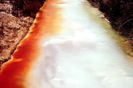Contaminated Water In Drainage Ditch Behind Pittsburg Glass Co - NARA - 546125