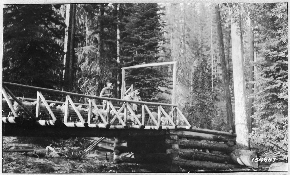 Counting Sheep Crossing Bridge, Minam Div, Whitman Forest, Washington, 1917. - NARA - 299141