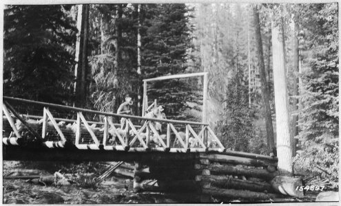 Counting Sheep Crossing Bridge, Minam Div, Whitman Forest, Washington, 1917. - NARA - 299141 photo
