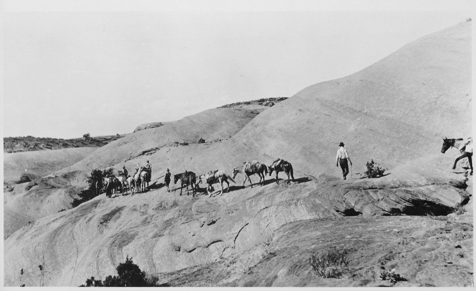 Discovery party and horses on hot, slick rocks west of Navajo Mountain on their way to Rainbow Bridge, Utah. By Neil M. - NARA - 559305