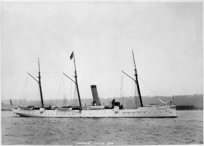 Dolphin (unarmored). Starboard side, 1891 - NARA - 512895 photo