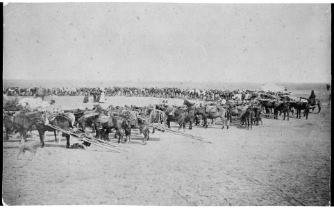 Drawing rations at the Agency (American Indian), ca. 1881 - ca. 1885 - NARA - 533041