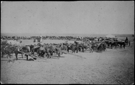 Drawing rations at the Agency (American Indian) - NARA - 533041