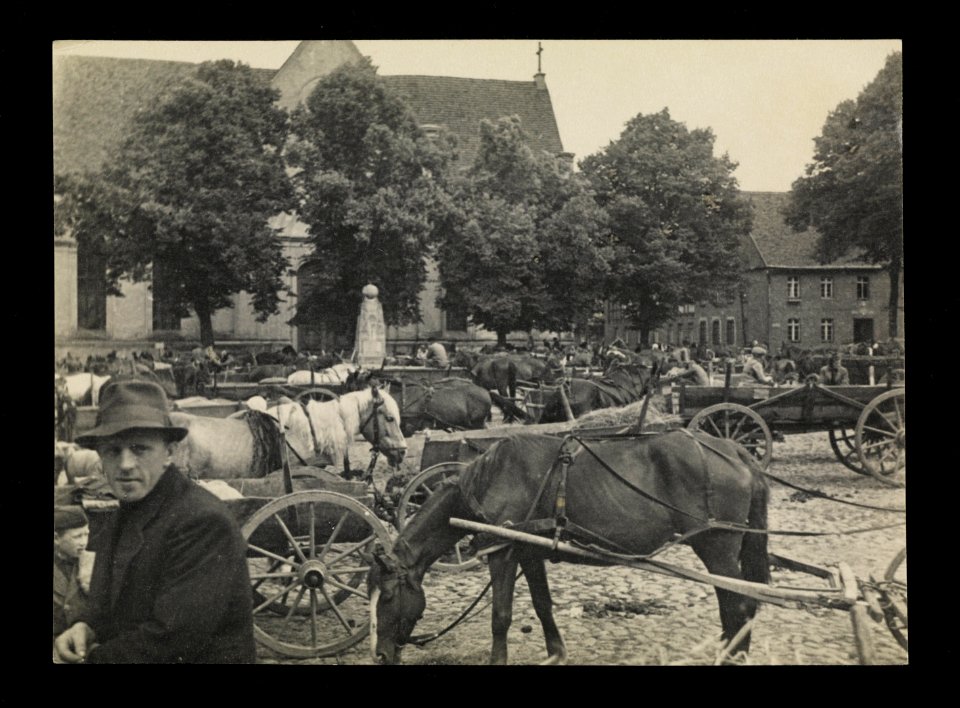 Czaplinek, Pomorze Zachodnie, Rynek 1949 (66044754)