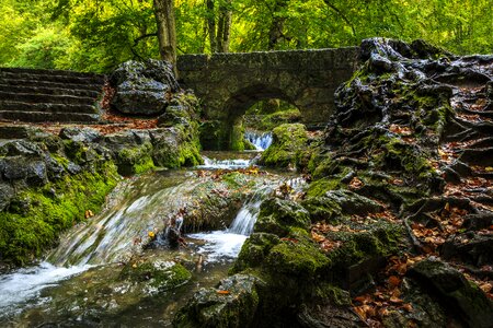 Swabian alb destination migratory goal