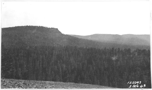 Dicks Bluff & Trout Creek Basin showing Timber type, Ochoco Forest, 1914. - NARA - 299186 photo