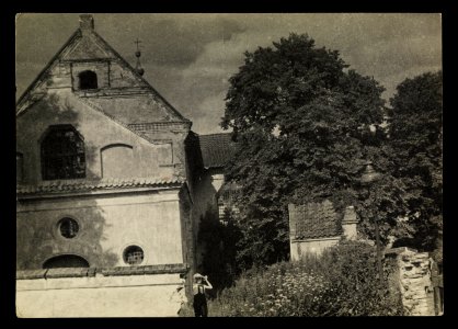 Dzierzgon 1949 (66045617)